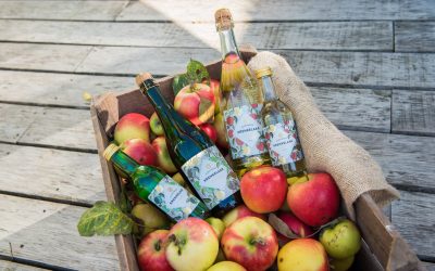 De lekkerste cider van Nederland