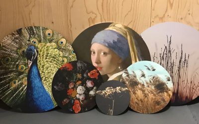 Muurcirkels, een echte eyecatcher!