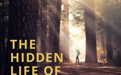 Inspirerende documentaire laat je het bos opnieuw ontdekken