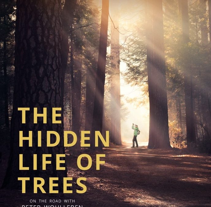 The Hidden Life Of Trees film poster