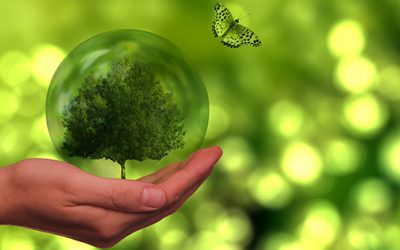 Duurzaamheidsweken Veenendaal 2021