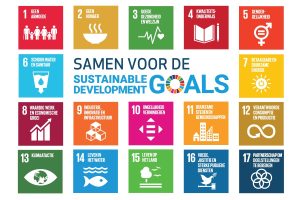 opsomming van de 17 sustainable development goals 